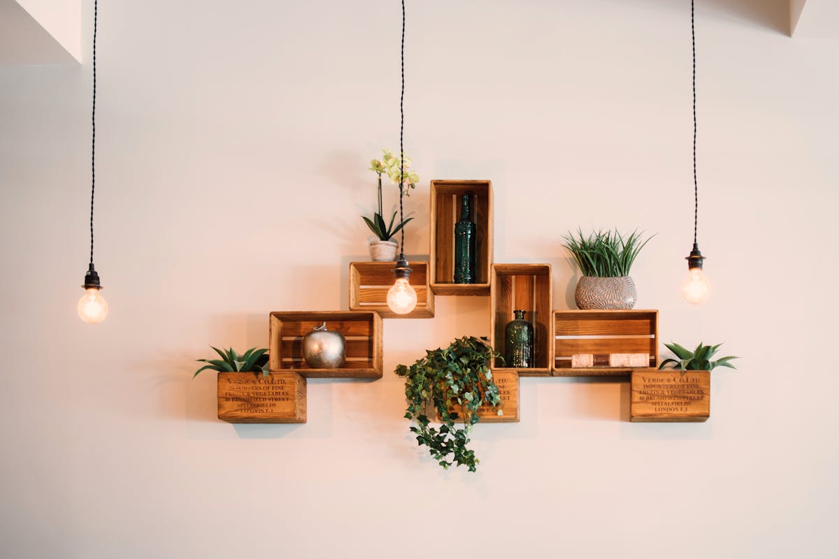 Contemporary wooden wall shelves styled with plants and decor under warm lighting, illustrating wooden shelf wall decor