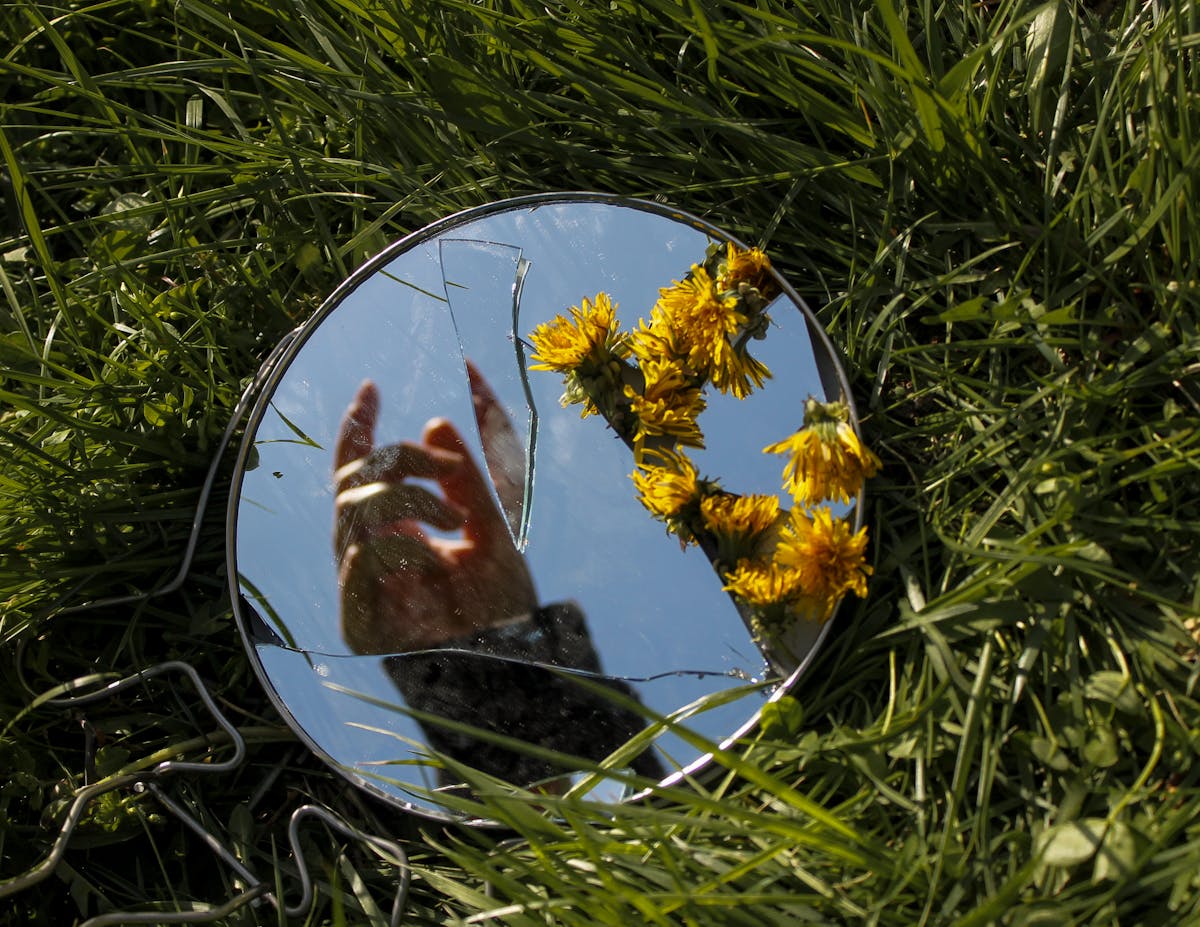 A creative photo of a hand reflecting in a broken mirror with yellow flowers set on grass representing the psychology of self reflection and fragmented identity