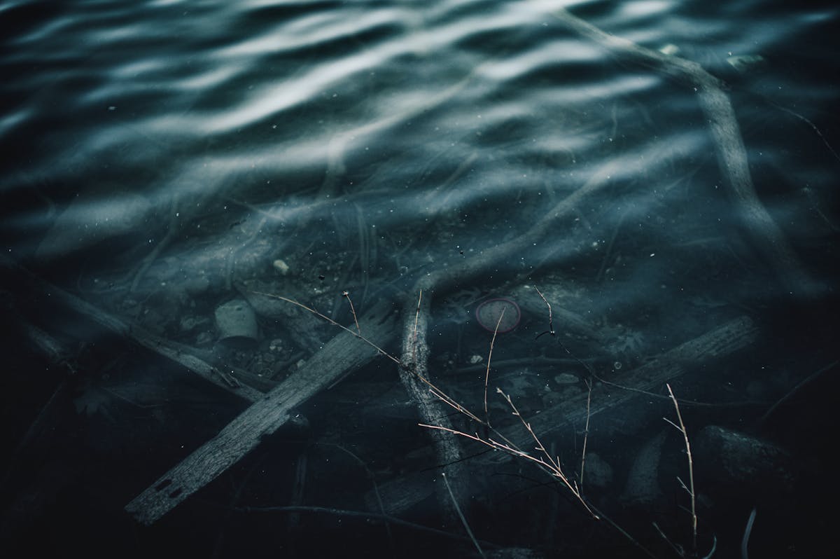 Dark and mysterious underwater scene with branches creating an eerie atmosphere representing emotional confusion and distorted self-perception in dreams