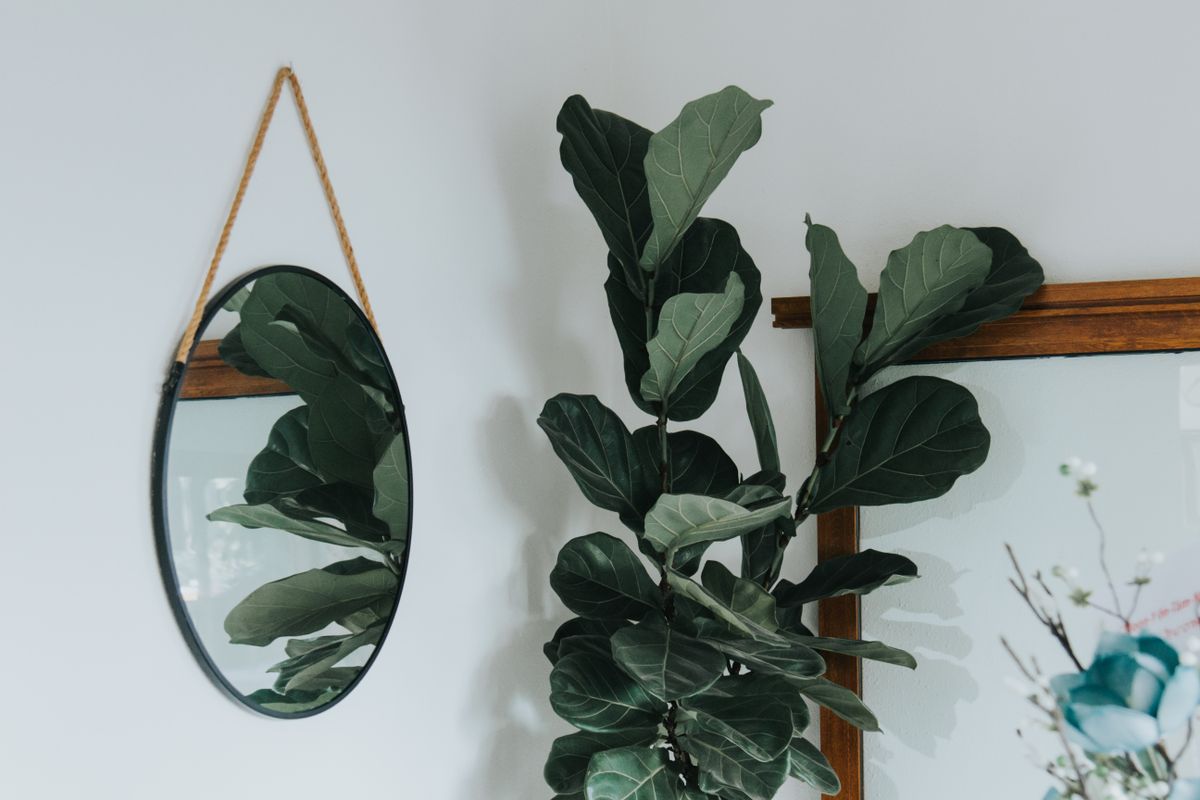 Round hanging mirror in a modern interior illustrating why round mirror decor works Modern interior with a fiddle leaf fig and a round hanging mirror, illustrating why round mirror decor works