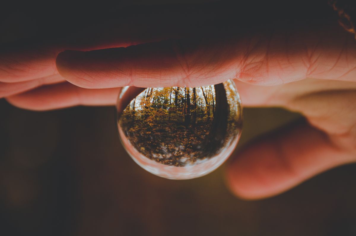Hand holding a glass sphere reflecting woodland scenery in soft natural light