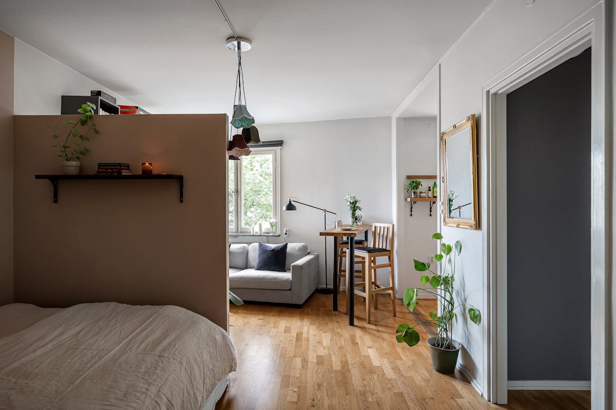 Small apartment with plants and natural light illustrating feng shui energy in a studio Cozy small apartment seating area with plants and natural light, illustrating feng shui light and plants in small spaces