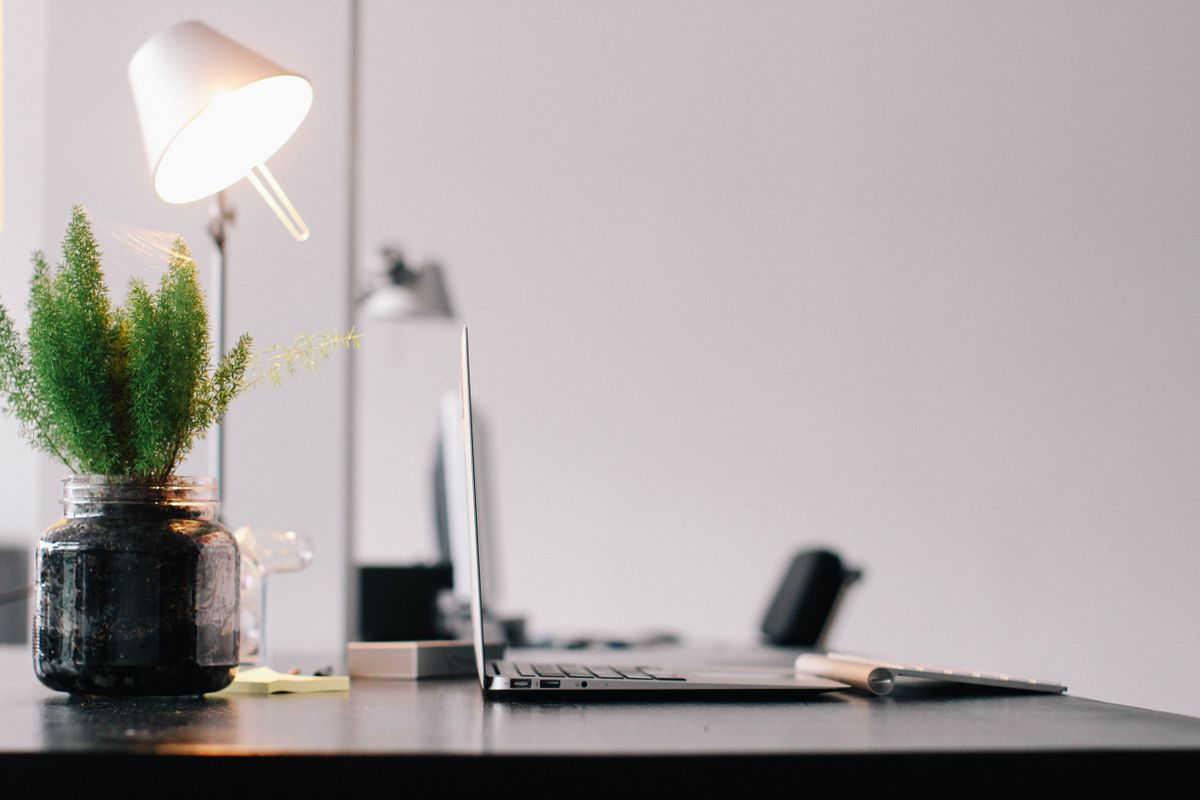 Home office with a plant illustrating feng shui colors and living energy for remote workers Home office desk with a laptop, lamp and an indoor plant, illustrating feng shui home office colors and plants