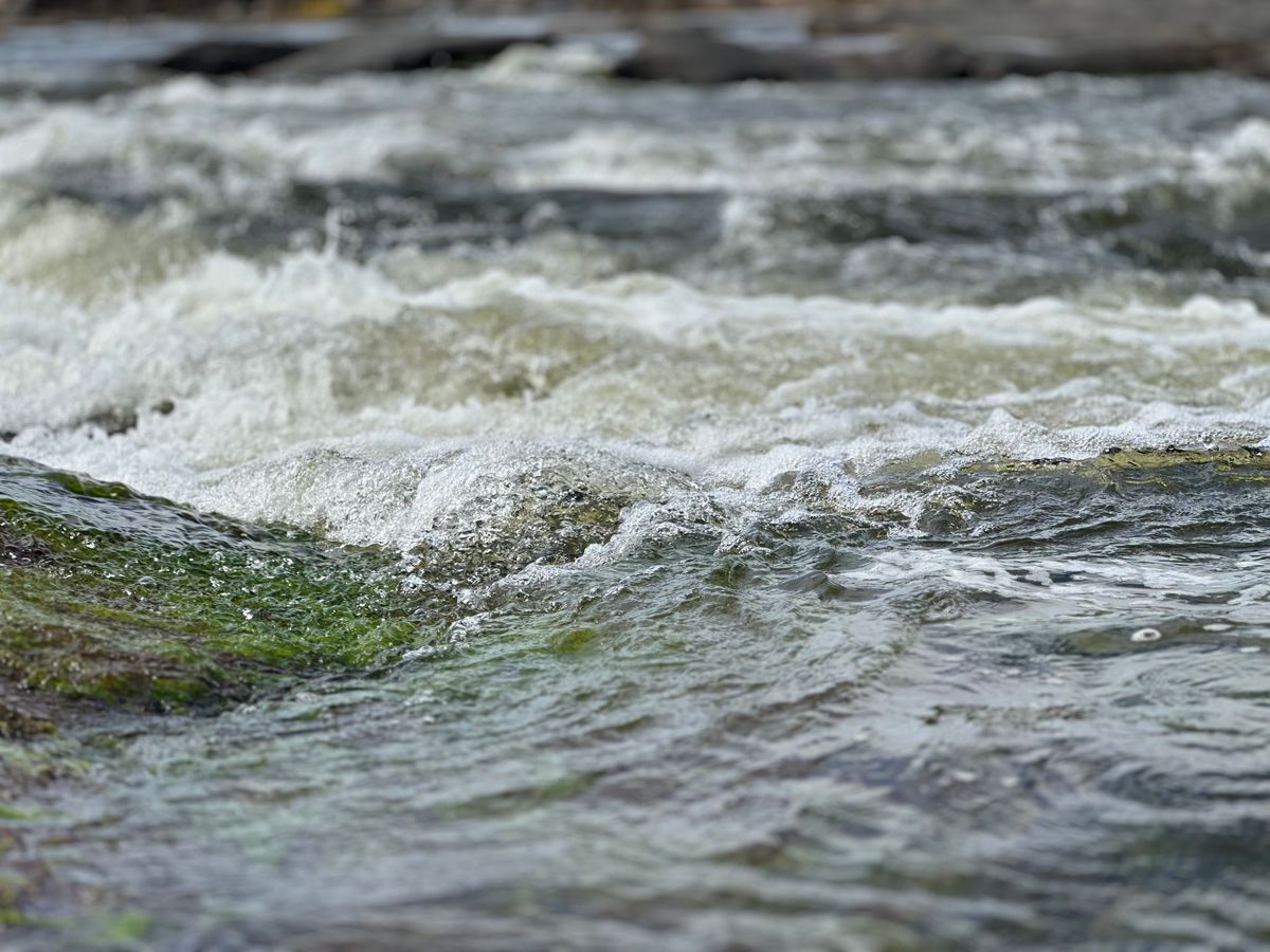 Wide river flowing steadily through green landscape with sunlight reflecting off moving water surface