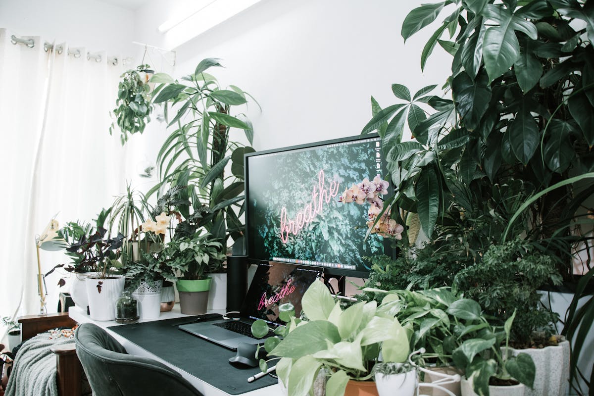 Office desk with a green plant illustrating living energy in a feng shui office layout Home office desk with a vibrant green indoor plant, illustrating feng shui office plants