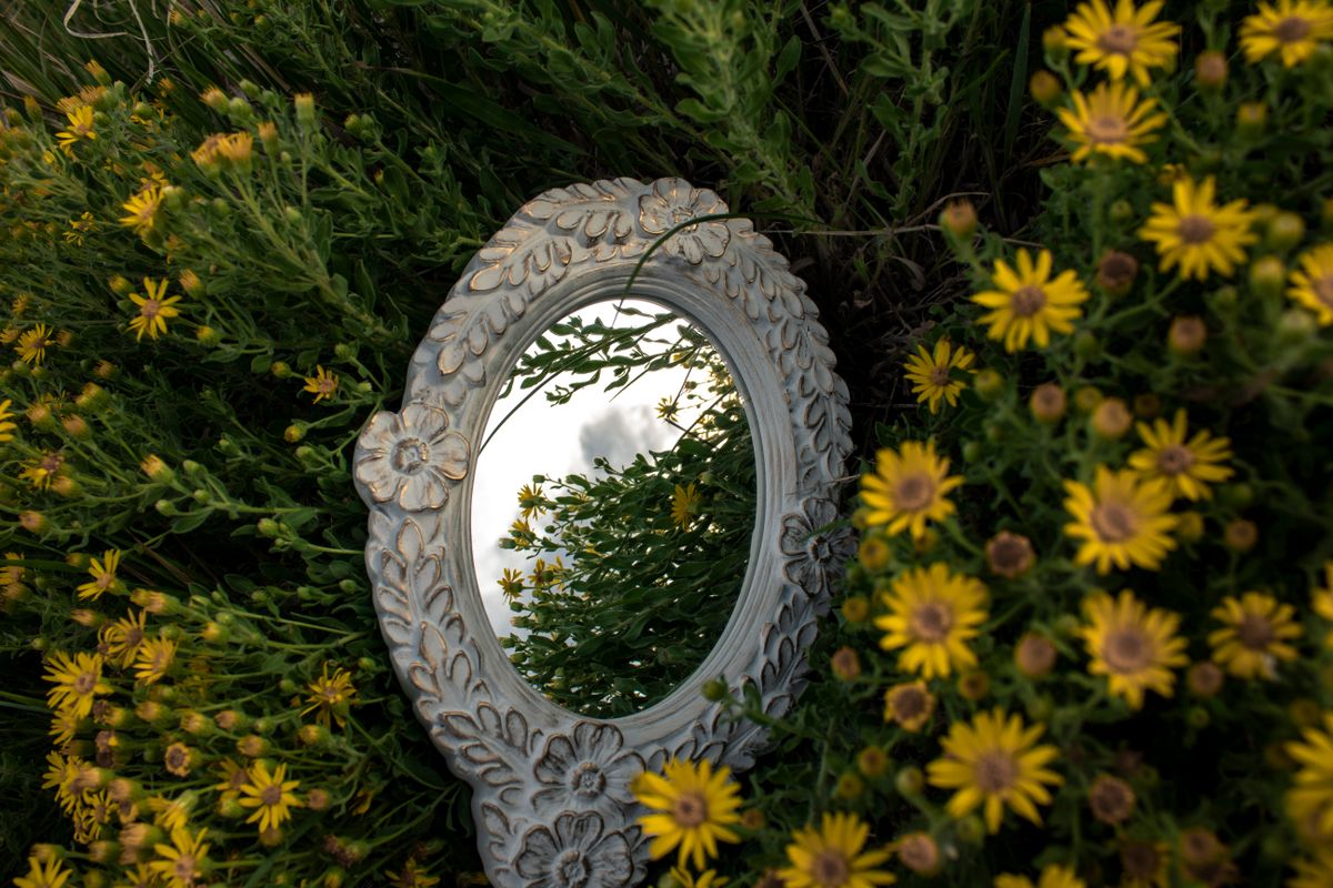 Ornate decorative mirror lying on a bed of vibrant yellow flowers amid lush greenery, symbolizing the renewed relationship with mirrors after a fall and the invitation to begin again with intention