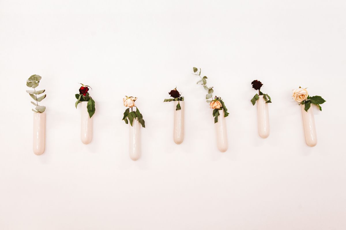 Minimalist wall-mounted vases with flowers and foliage, illustrating vase wall decor as a natural touch