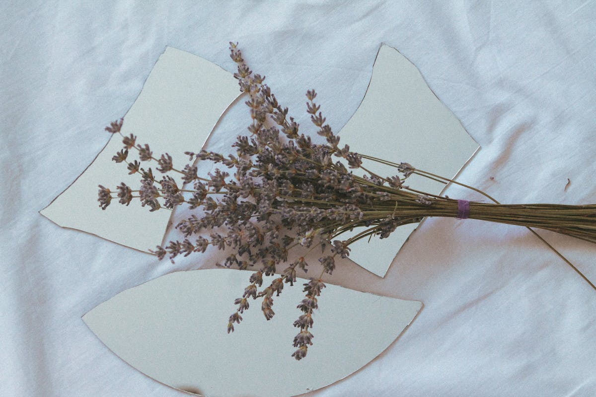 Dried lavender resting on broken mirror shards with a reflective surface